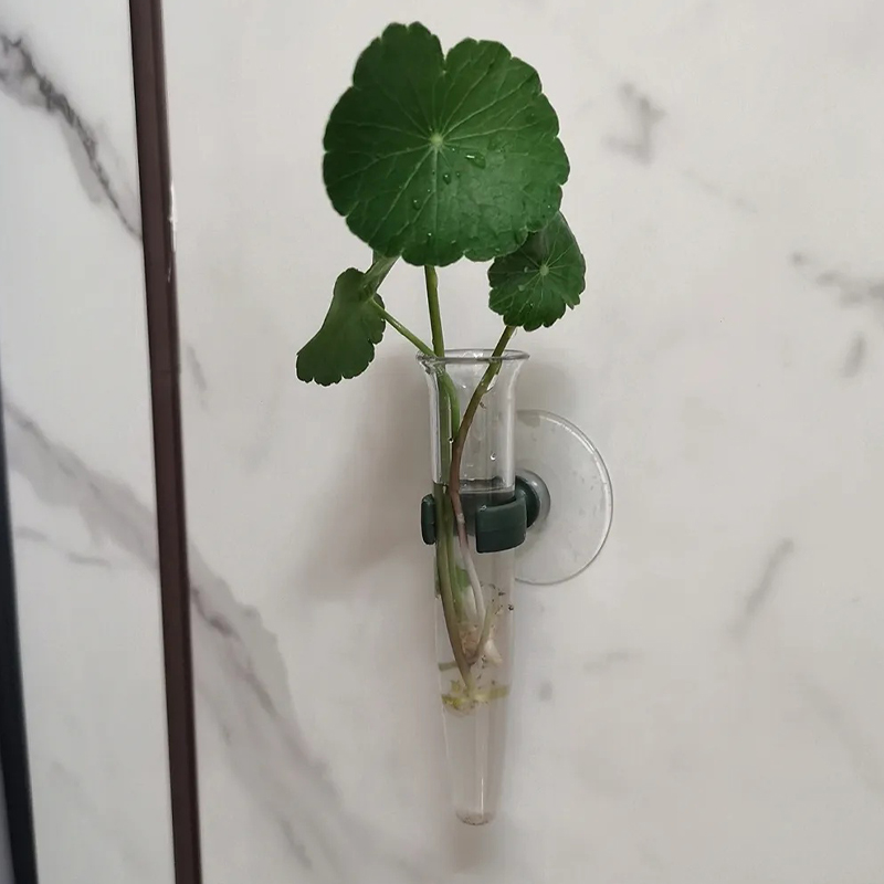 11cmの花用ウォーターチューブ、プラスチック製栄養容器、吸 - Nutrition & Fitness Class のレビューと価格