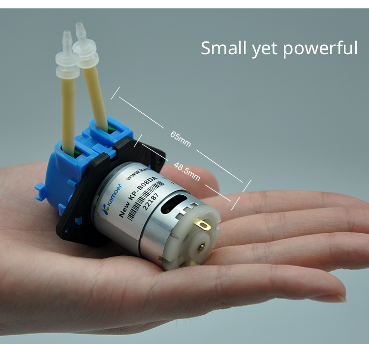 2026年新型NKP 6V 12V 24V DCモーター カ - Nutrition & Fitness Class のレビューと価格
