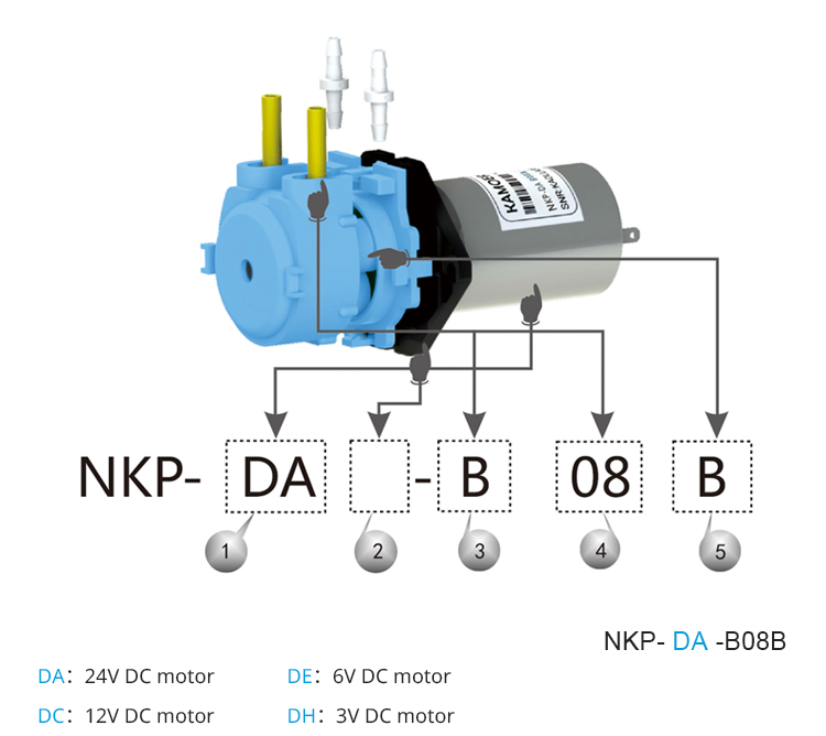 2026年新型NKP 6V 12V 24V DCモーター カ - Nutrition & Fitness Class のレビューと価格